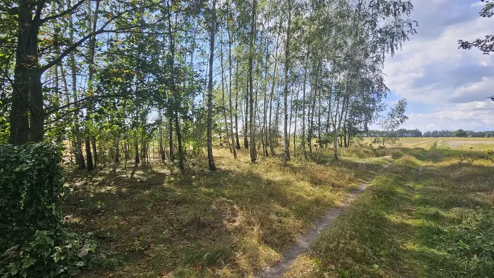 Zdjęcie 3