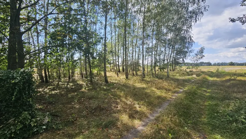 Zdjęcie 4