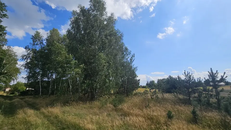 Zdjęcie 5