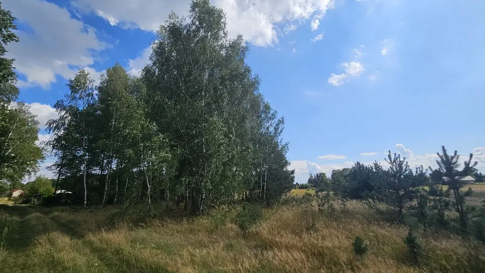Zdjęcie 6