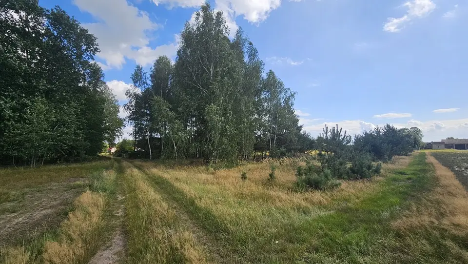 Zdjęcie 7