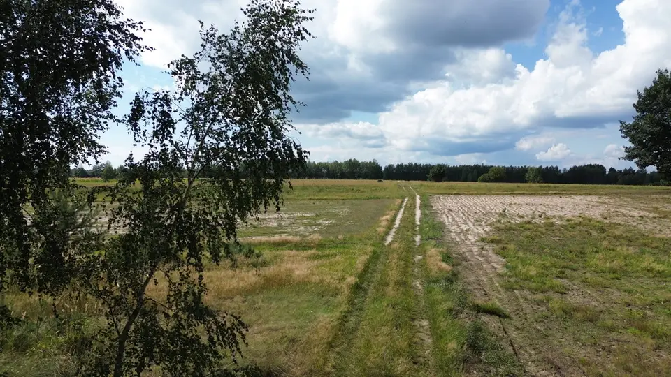 Zdjęcie 8