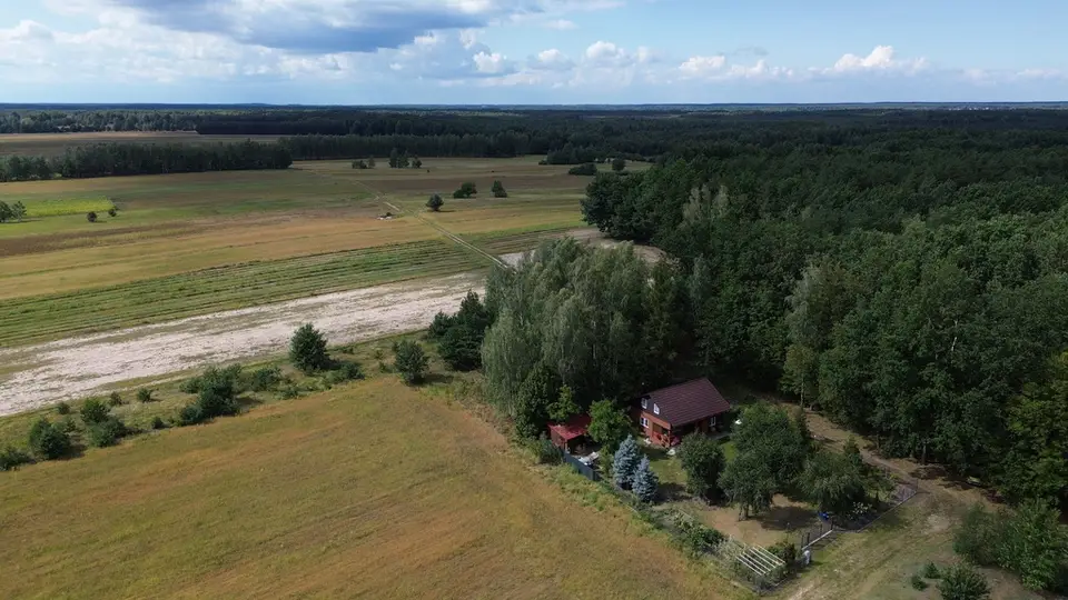 Zdjęcie 13