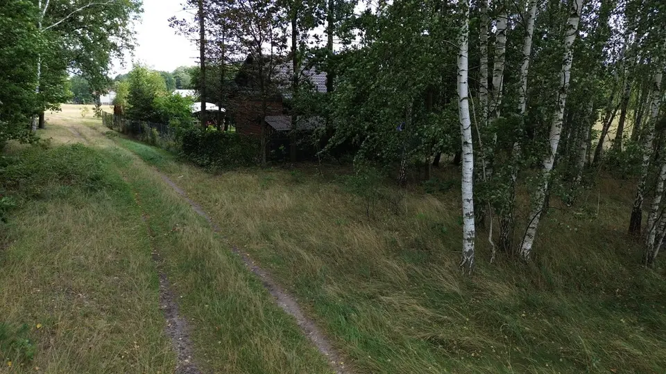 Zdjęcie 14