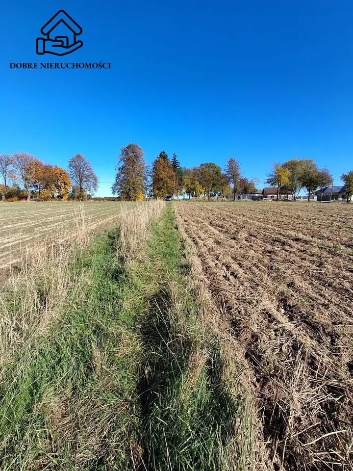 Działka budowlana 1 003 m², Żabia Wola