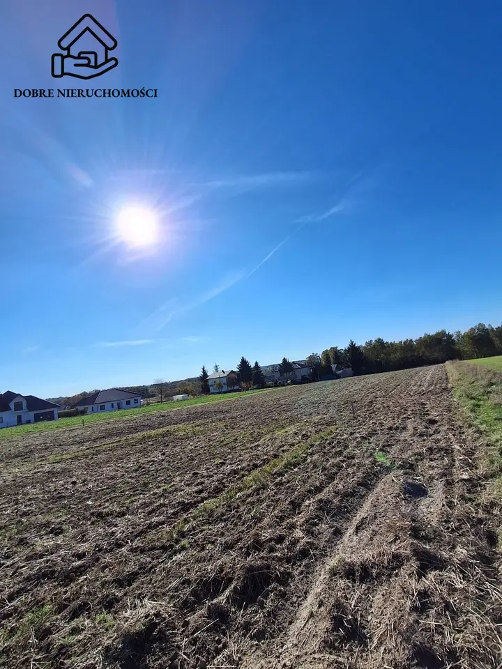 Zdjęcie 3