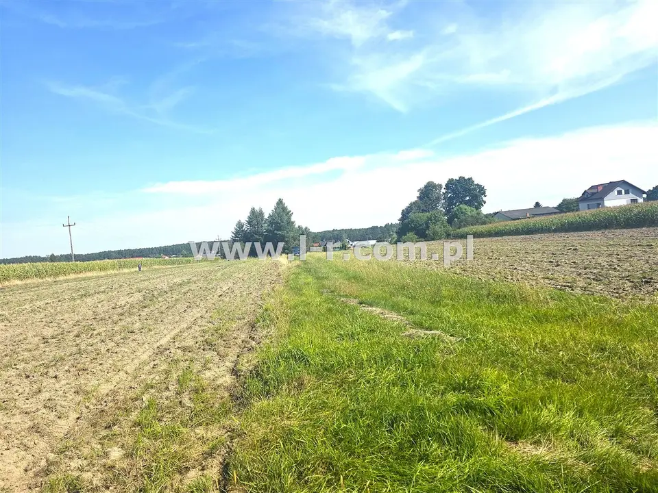 Działka budowlana 900 m², Kobielice