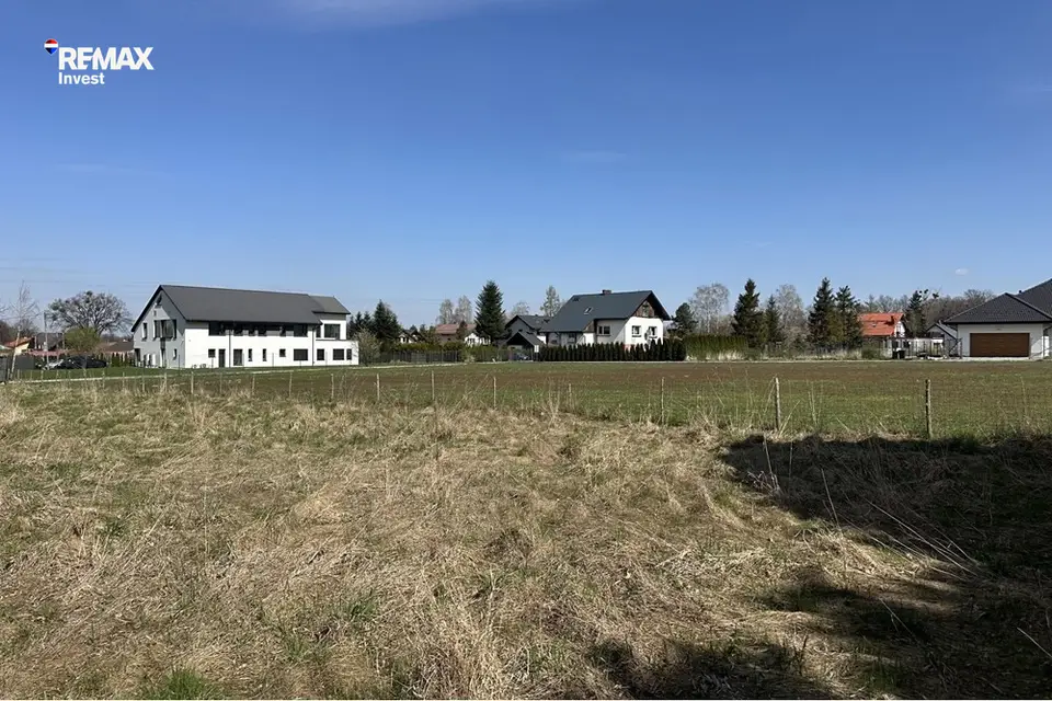 Zdjęcie 15