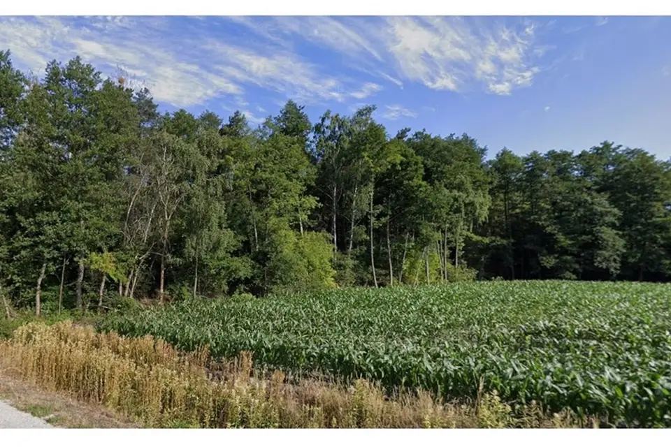 Działka budowlana 1,5 ha, Justynów