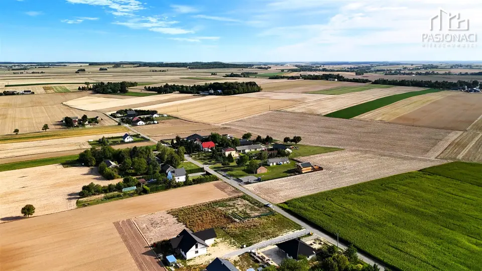 Zdjęcie 11