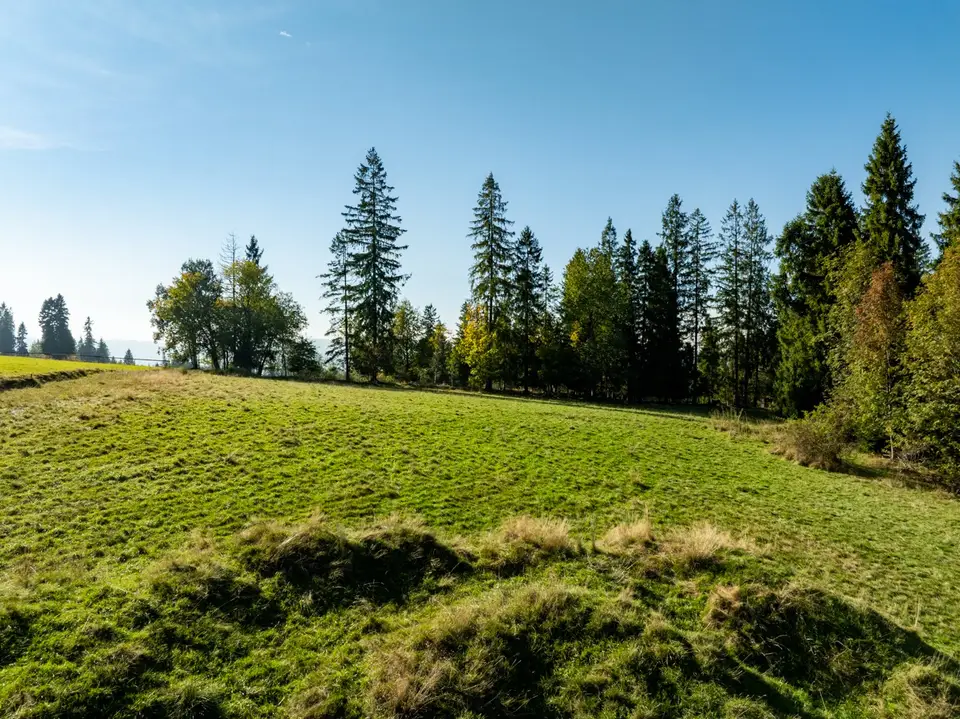 Zdjęcie 6