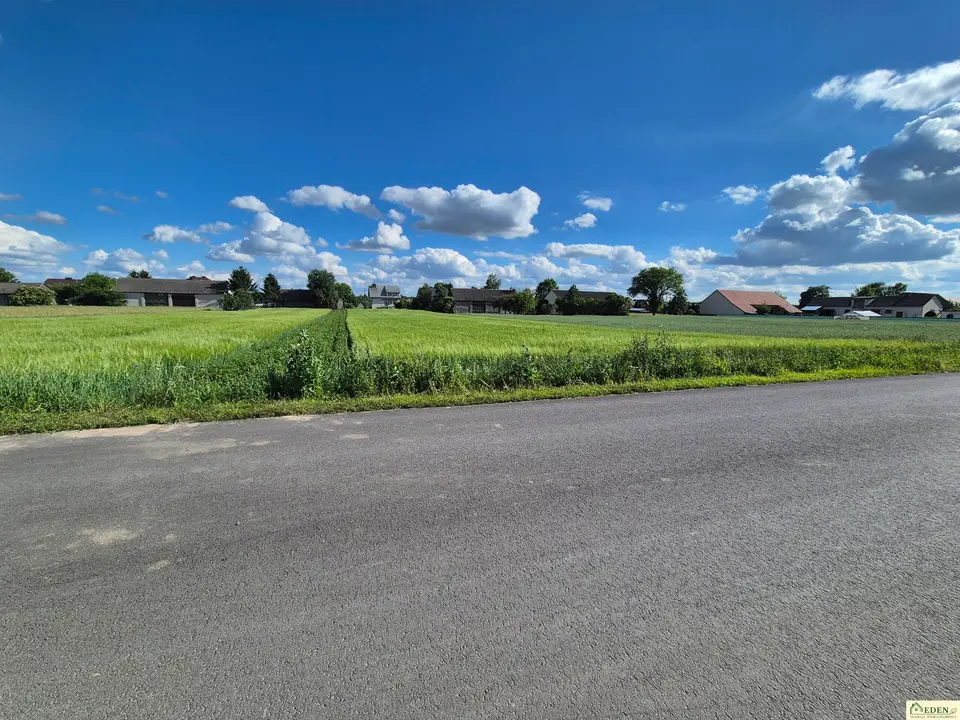 Zdjęcie 6