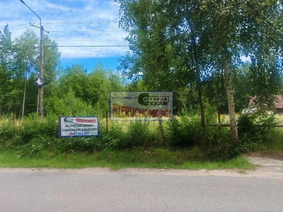 Zdjęcie 4