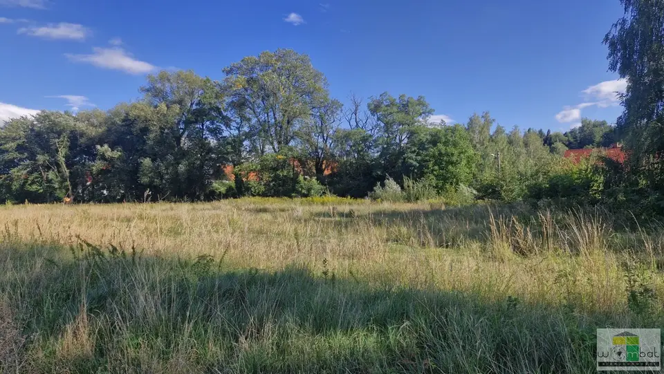 Zdjęcie 4