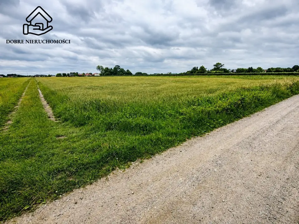 Działka budowlana 3 000 m², Siedliska