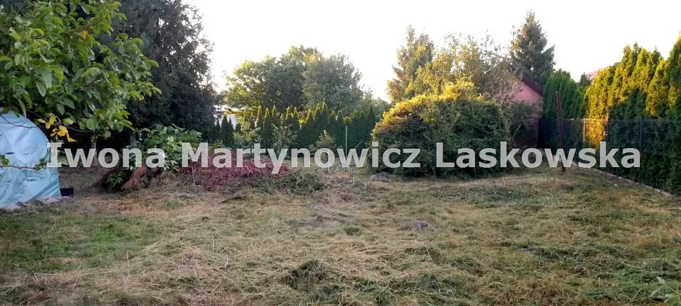 Zdjęcie 3