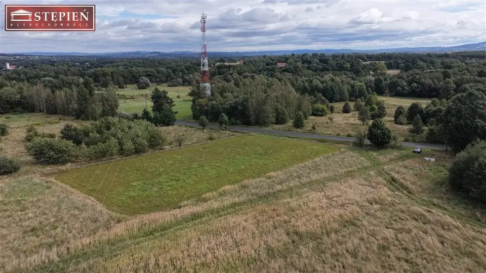 Zdjęcie 3