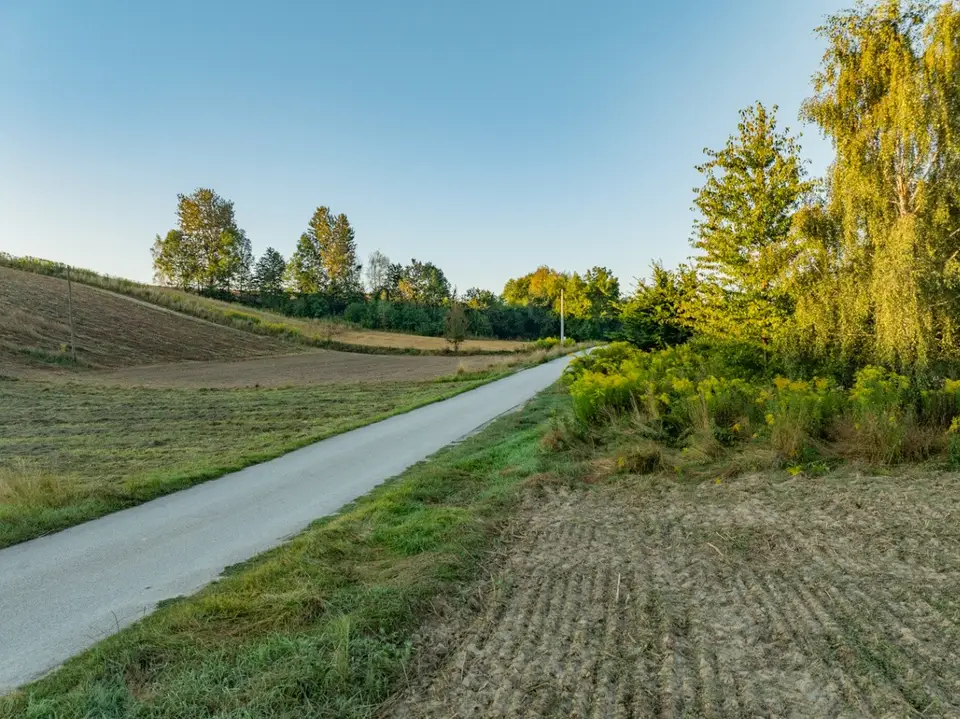Zdjęcie 10