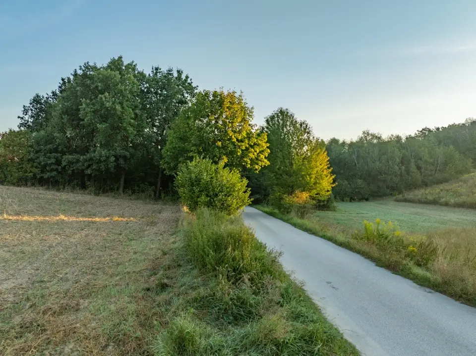Zdjęcie 11