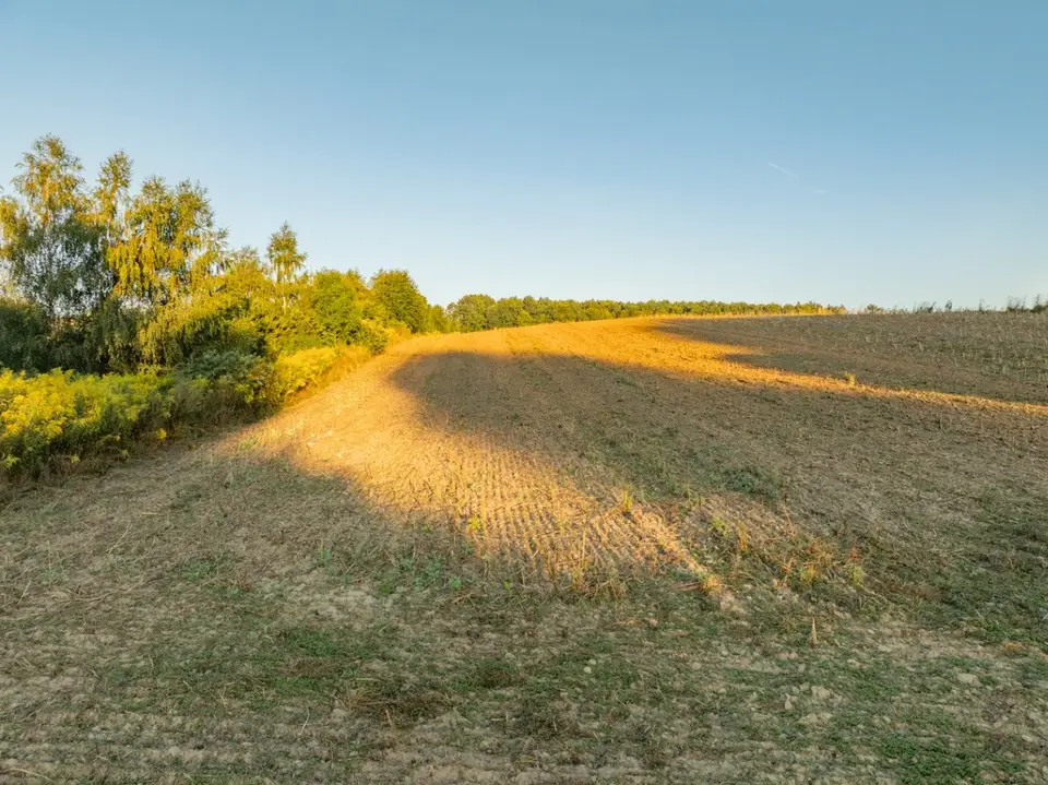 Zdjęcie 12