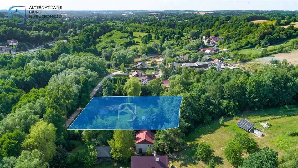 Zdjęcie 6
