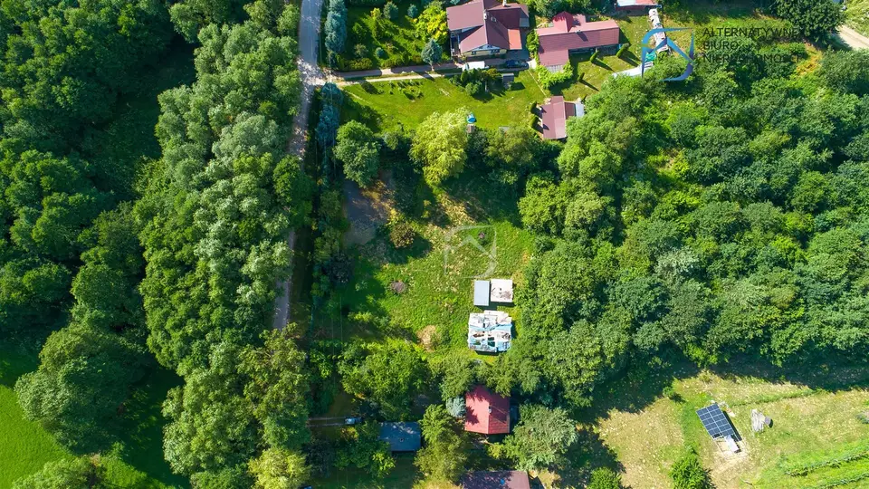 Zdjęcie 8