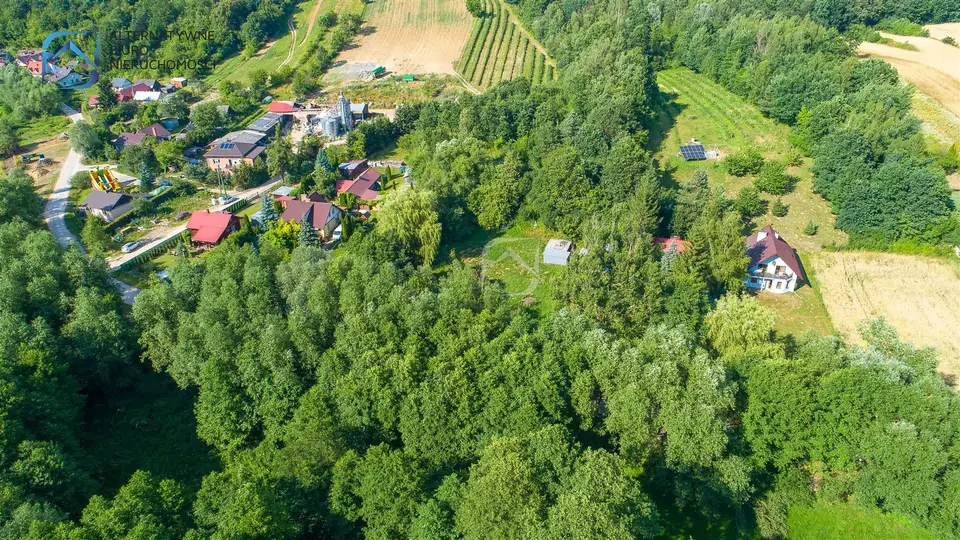 Zdjęcie 12