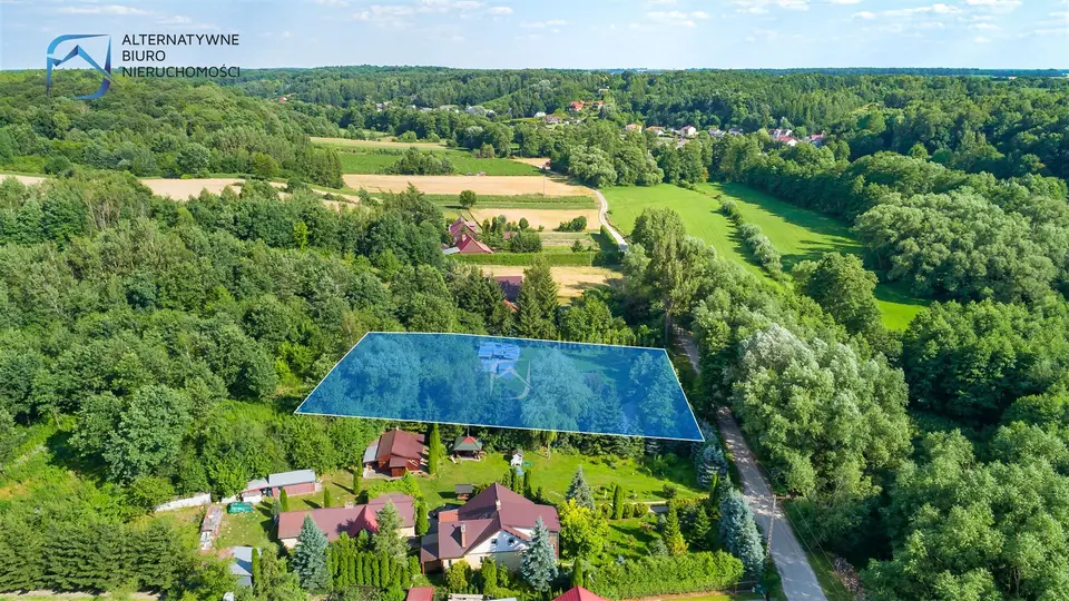 Zdjęcie 15