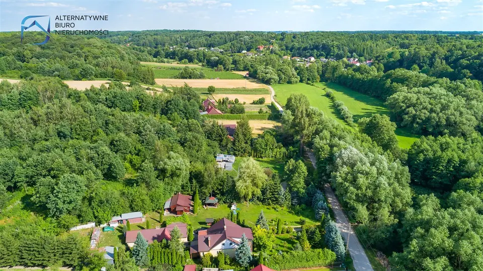Zdjęcie 16