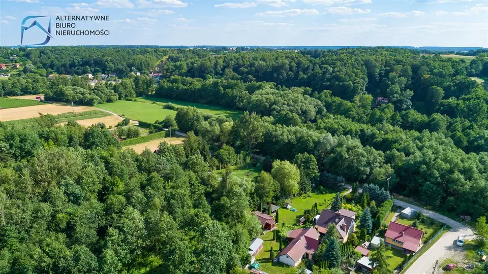 Zdjęcie 18