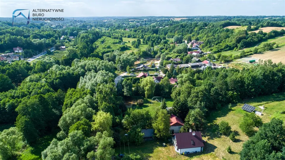 Zdjęcie 24