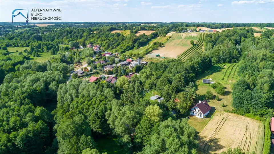 Zdjęcie 26