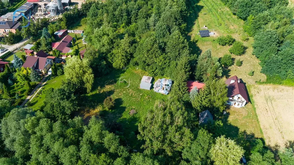 Zdjęcie 31
