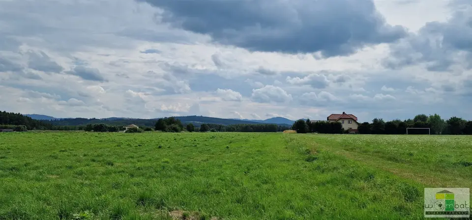 Zdjęcie 4