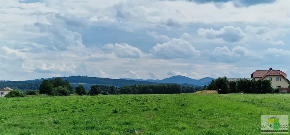 Zdjęcie 5