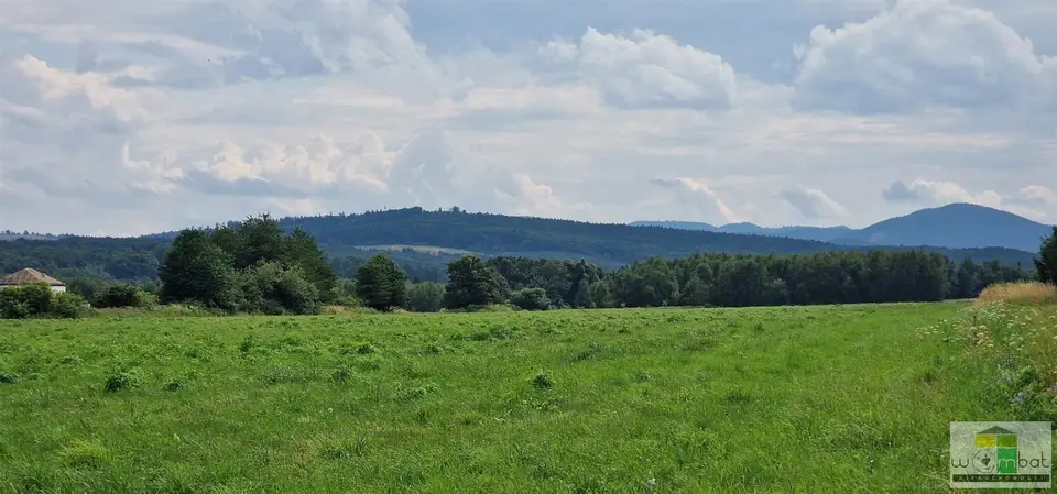 Zdjęcie 6