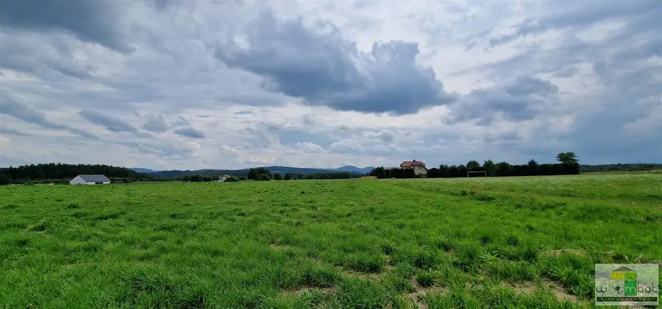 Zdjęcie 7