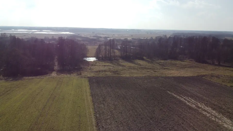 Zdjęcie 10