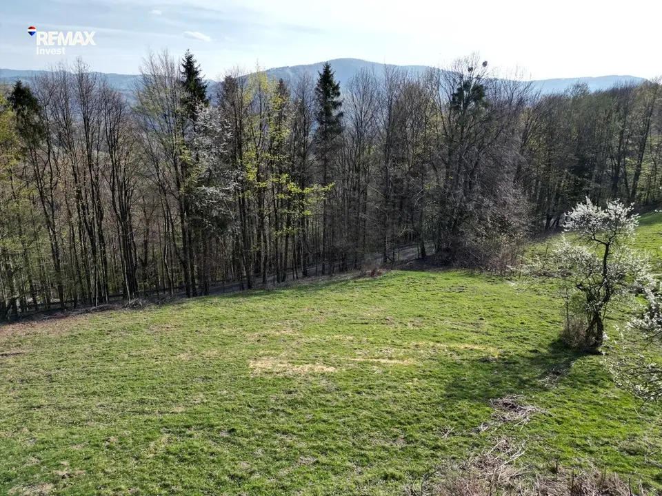Działka budowlana 3 703 m², Ustroń