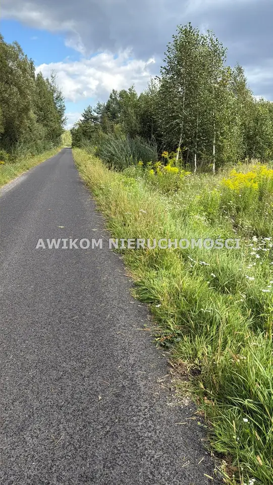 Działka budowlana i inwestycyjna 1,7 ha, Radziejowice