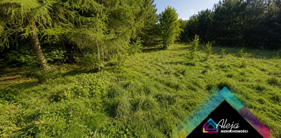 Zdjęcie 6