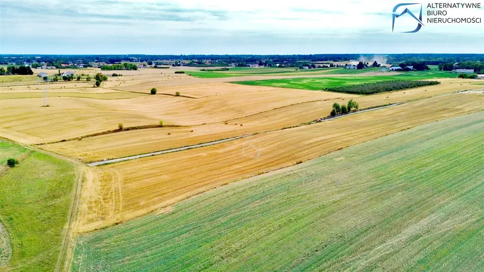 Zdjęcie 13