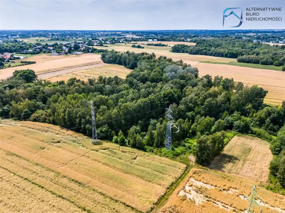 Zdjęcie 6