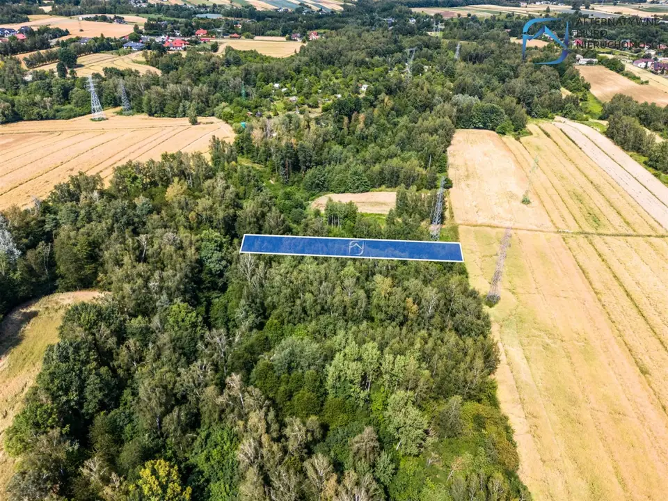 Zdjęcie 10