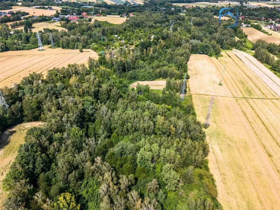Zdjęcie 11