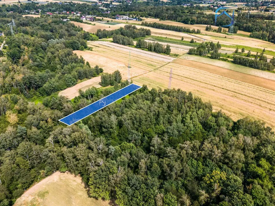 Zdjęcie 12
