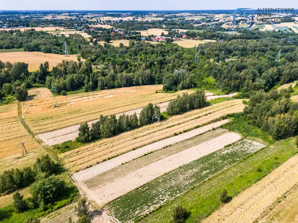 Zdjęcie 5