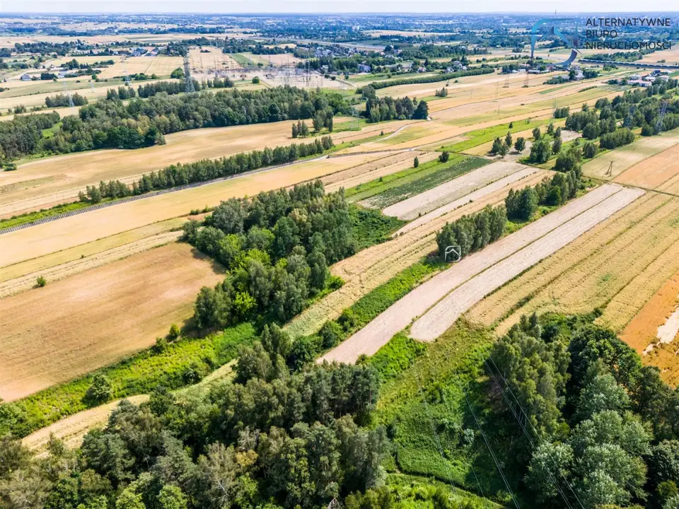 Zdjęcie 11