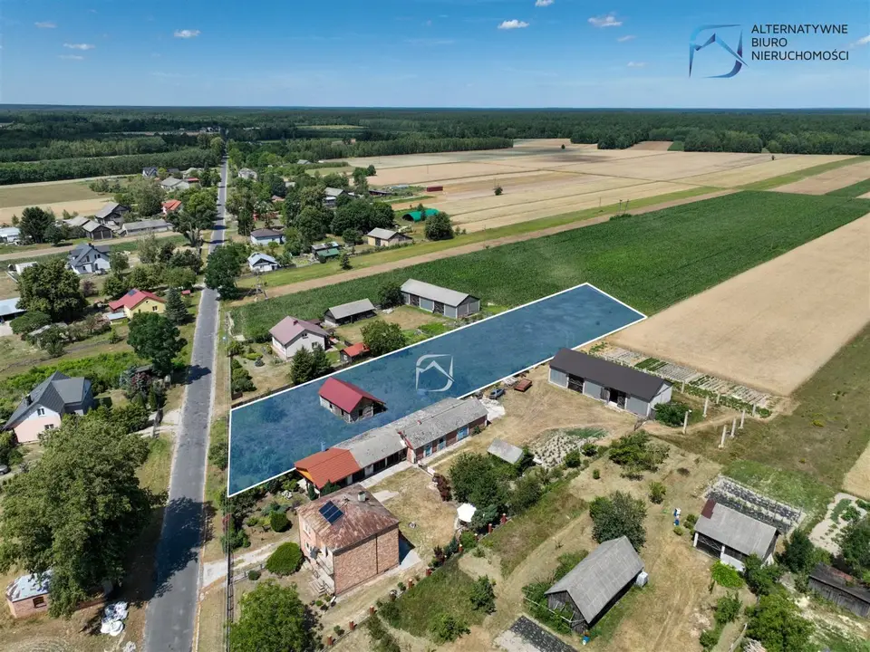 Zdjęcie 11