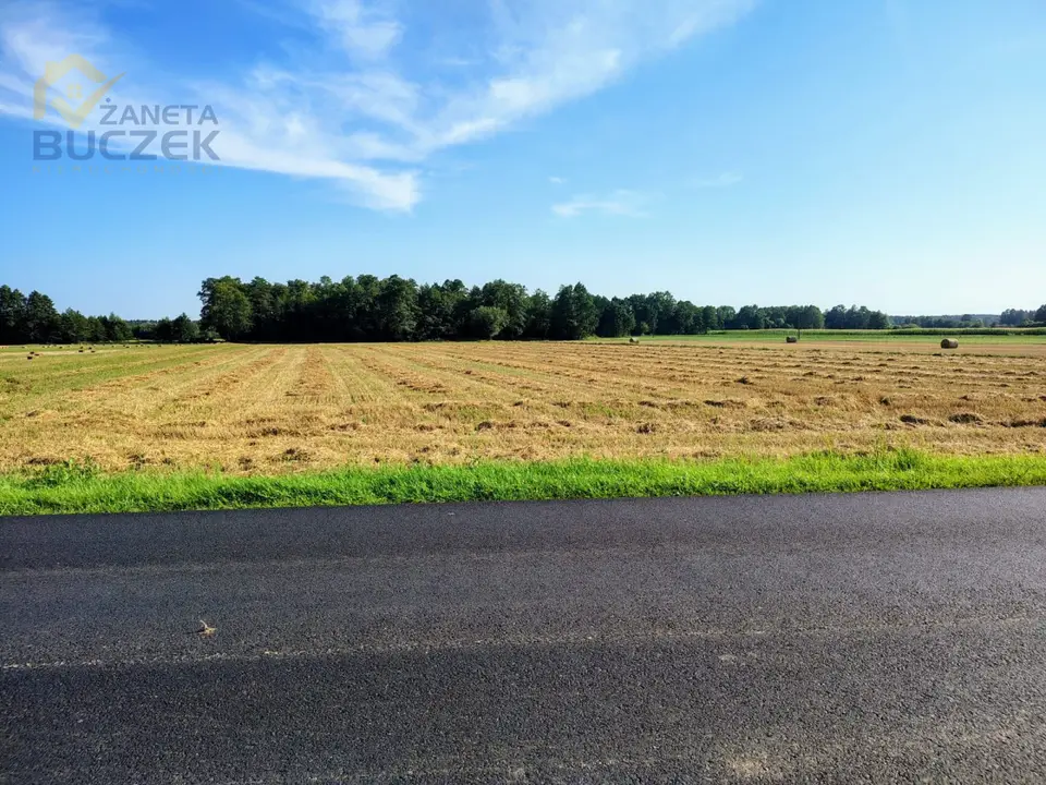 Działka rolna i leśna 9,87 ha, Januszew